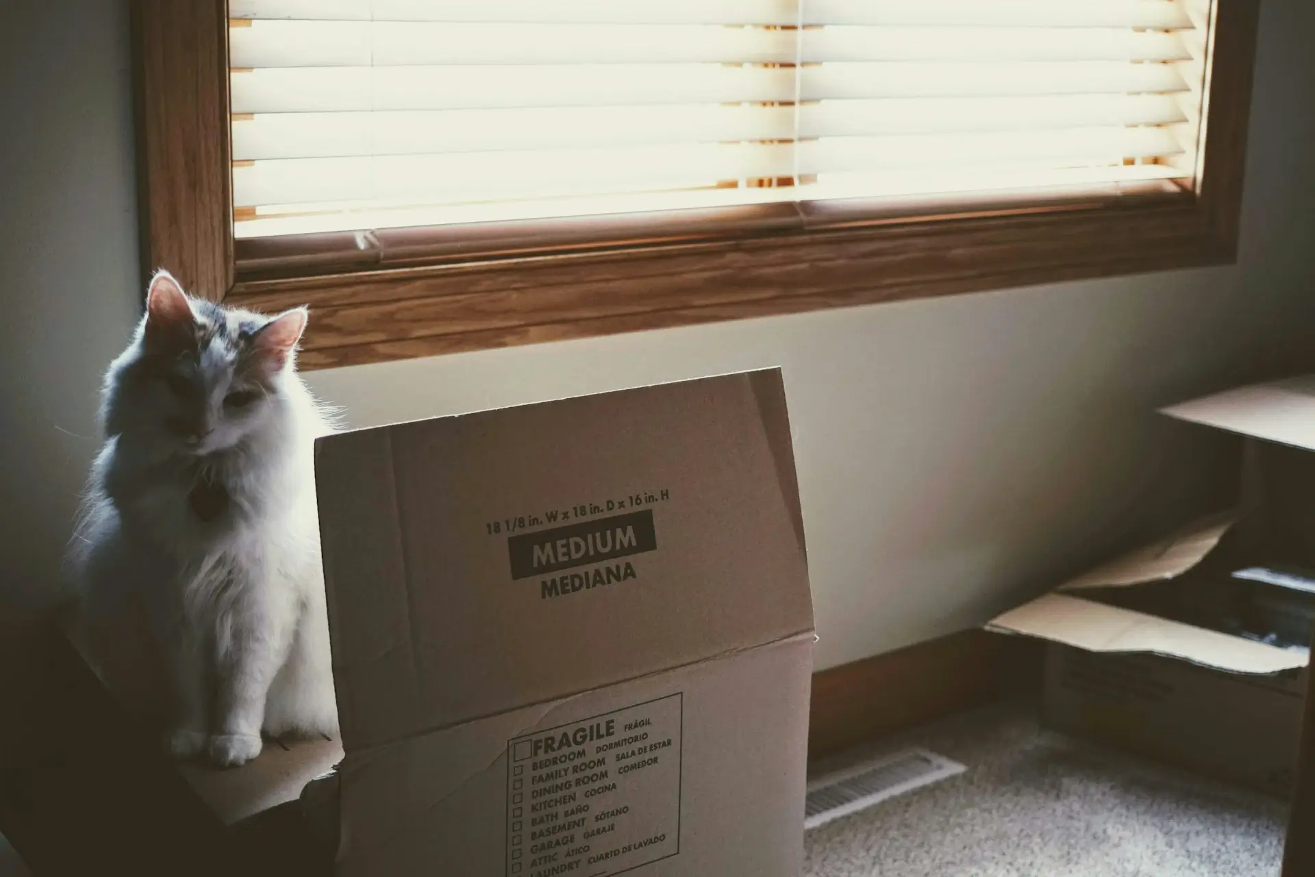 Plan a long-distance delivery
